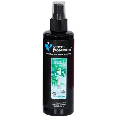 Groom Professional Winter Walks Cologne 100 ml - woda zapachowa dla psów o zapachu goździków i cynamonu 1