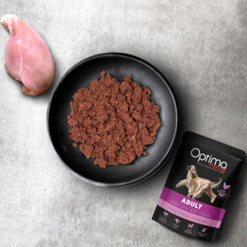 Optimanova Adult Chicken 300 g - mokra karma dla dorosłych psów z kurczakiem w saszetce-ONT02AD3A 1