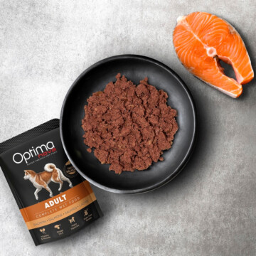 Optimanova Adult Salmon 300 g - mokra karma dla dorosłych psów z łososiem w saszetce-ONT04SA3A 1