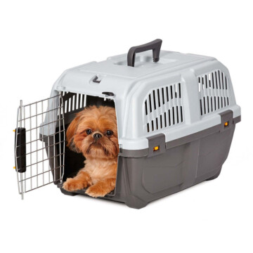 MP Transporter Skudo IATA - rozmiar 1 - 48x31,5x31 cm 1