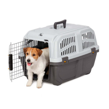 MP Transporter Skudo IATA - rozmiar 3 - 60x40x39 cm 1