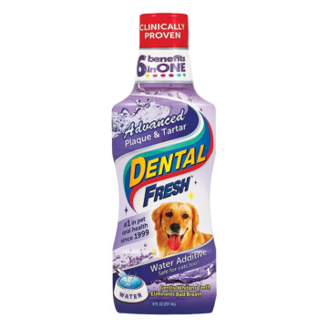 Dental Fresh Kamień i Osad 237 ml - płyn do higieny jamy ustnej 1