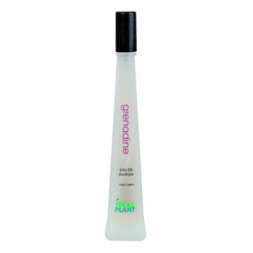 Ideal Plant Grenadine 30 ml - perfum o zapachu granatu 1