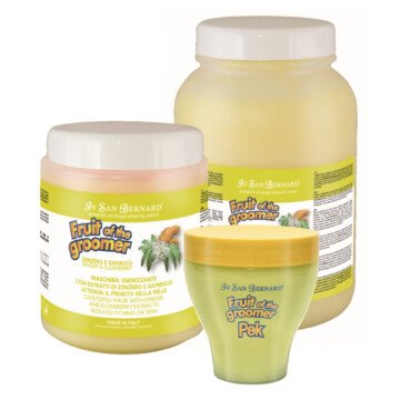 Iv San Bernard Ginger & Elderberry Mask - maska oczyszczająca z imbirem i czarnym bzem 1