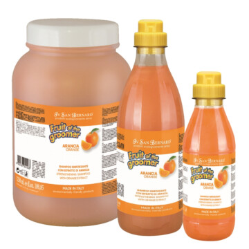Iv San Bernard Orange Shampoo - szampon wzmacniający i przeciwłojotokowy ze skórką pomarańczy 1