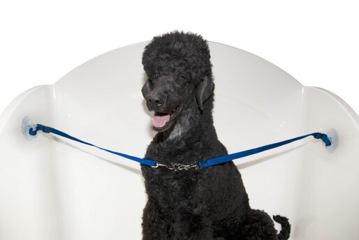 Przyssawka podwójna Trim do mocowania w wannie 1